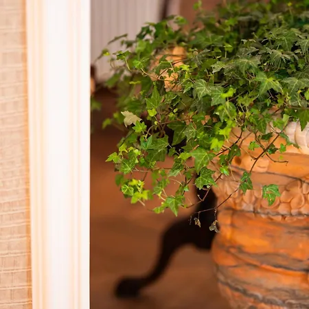 Hotel La Fe Boutique Sarandë