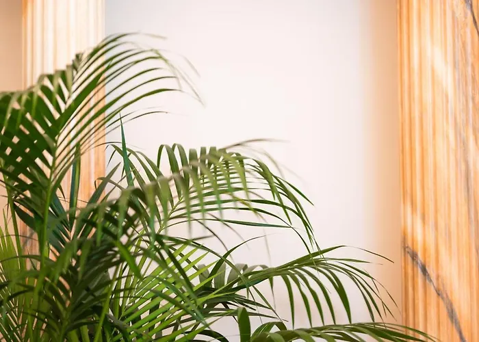 Hotel La Fe Boutique 4*